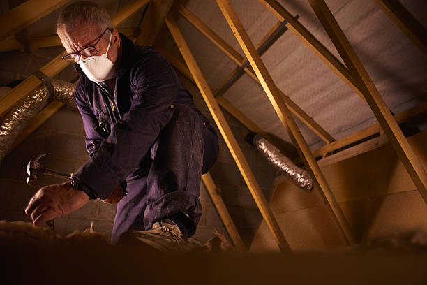 Best Insulation for Specific Applications in Bon Aqua Junction, TN