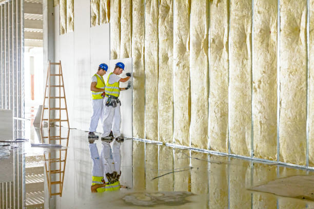 Best Specialty Insulation in Bon Aqua Junction, TN